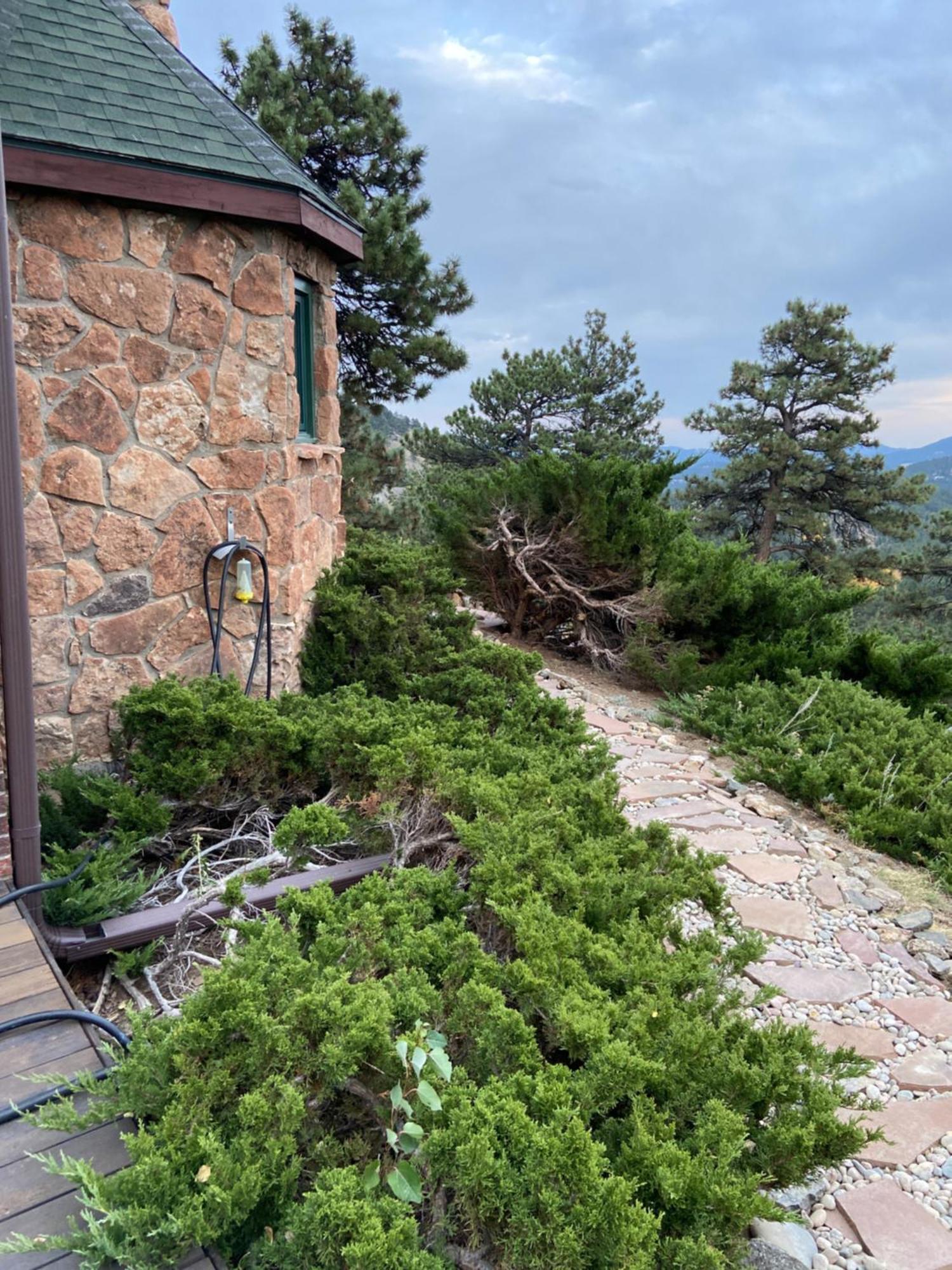 Colorado Bed & Breakfast With Beautiful Views Evergreen Exterior foto