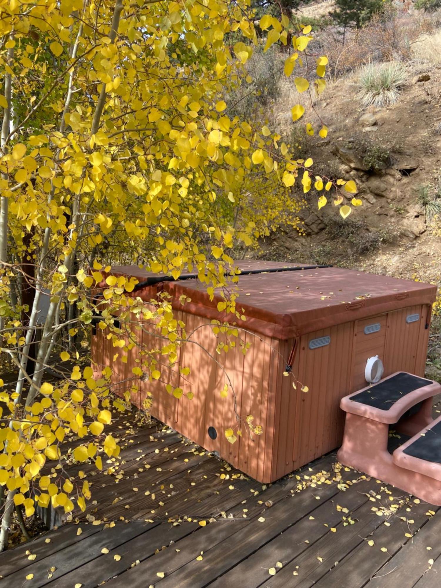 Colorado Bed & Breakfast With Beautiful Views Evergreen Exterior foto